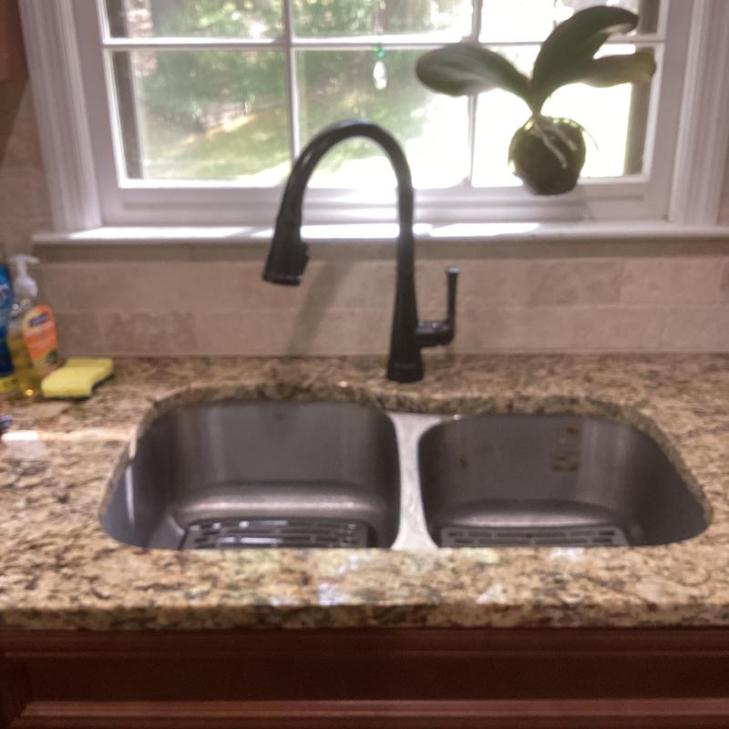 Venetian bronze Delta kitchen faucet and dual sink