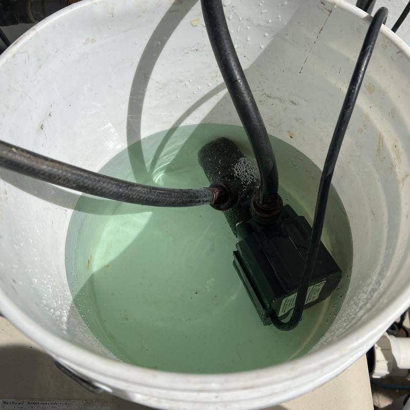 Tankless water heater flushing in white bucket Tankless water heater flushing in white bucket