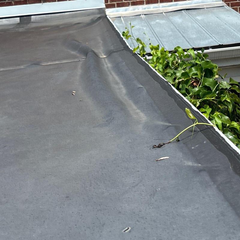 Rubber roof membrane with raised seams and debris