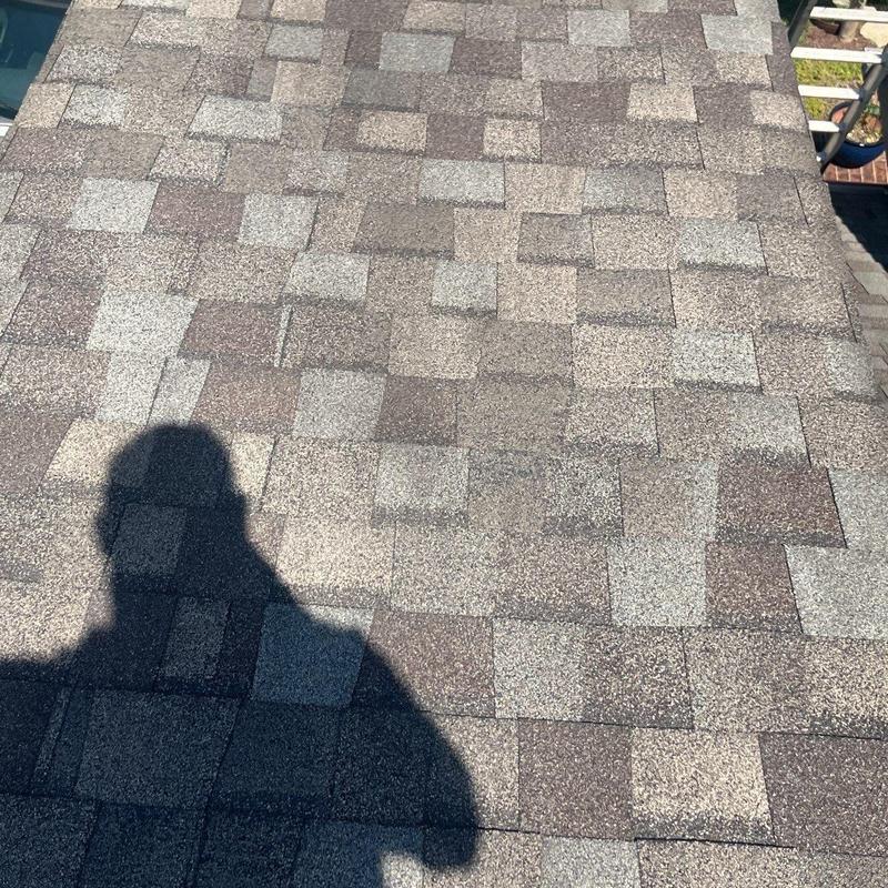Asphalt shingle roof showing granule loss and damage