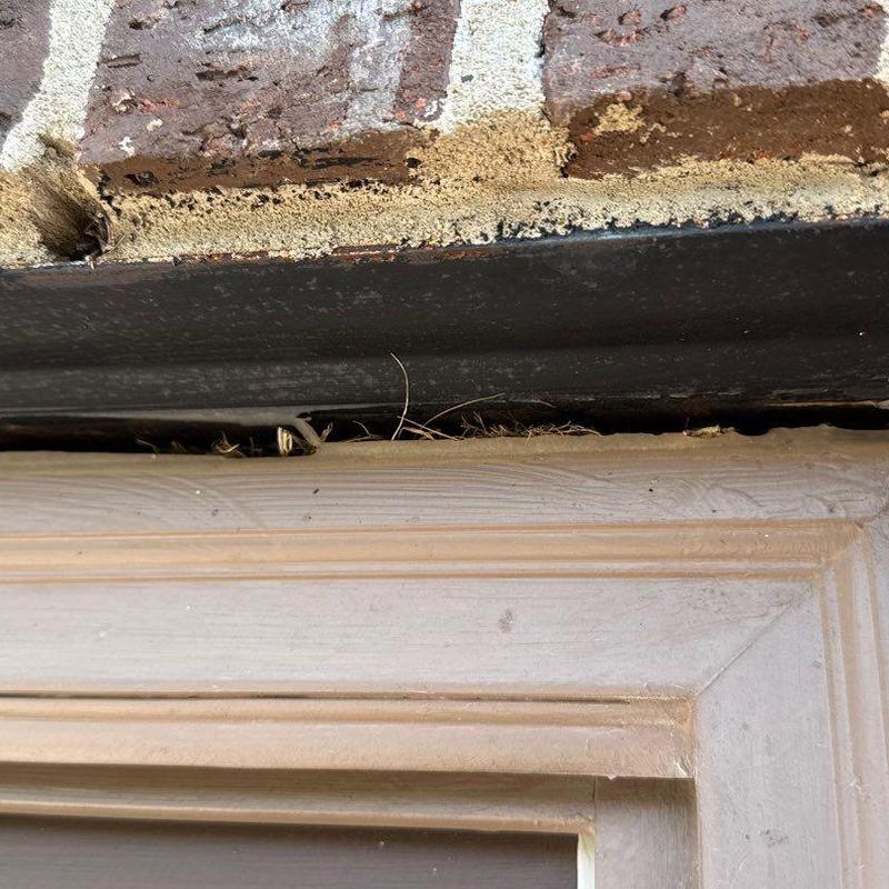 Door frame gap with pest tunnels and debris buildup