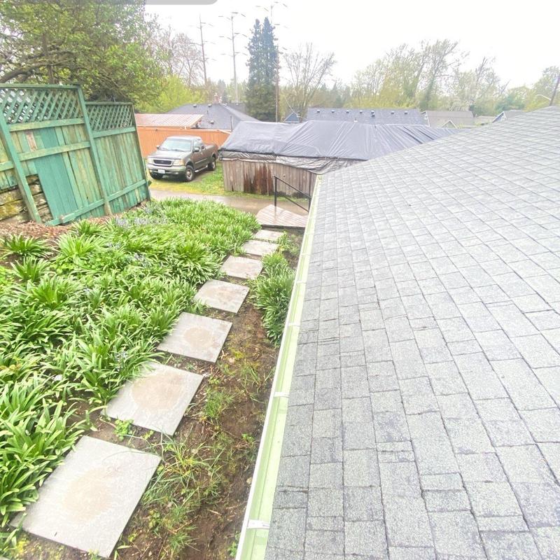 Roof gutter and shingle roof after cleaning Roof gutter and shingle roof after cleaning