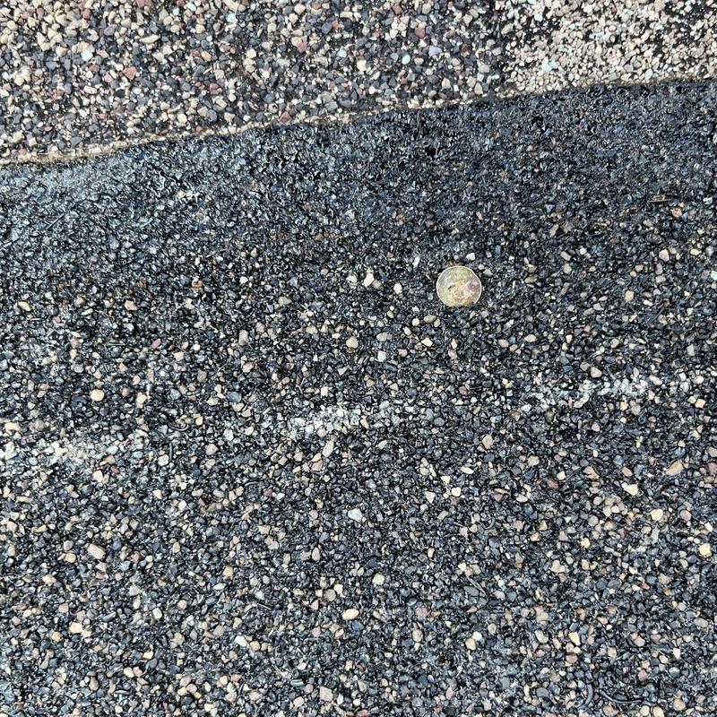 Asphalt roof shingles with hail damage and penny scale