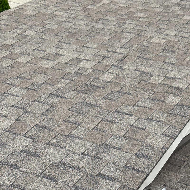 Roof shingles with hail damage and wear visible
