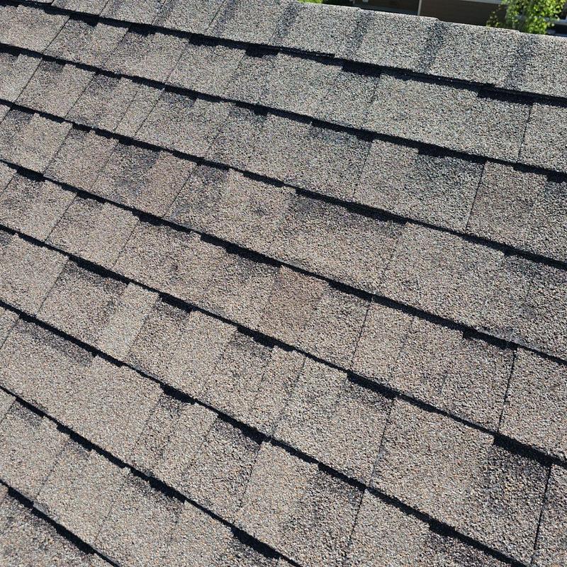 Asphalt shingle roof with visible hail damage