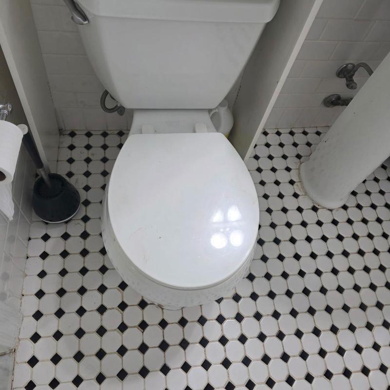 Toilet with camera sewer inspection and reset