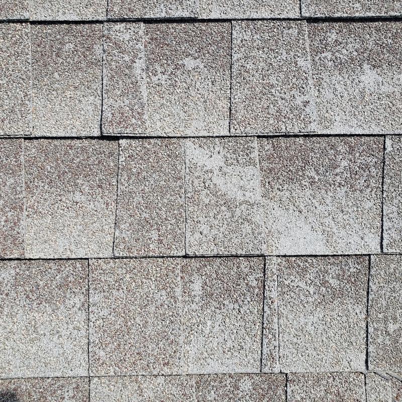 Asphalt shingle roof with visible hail damage