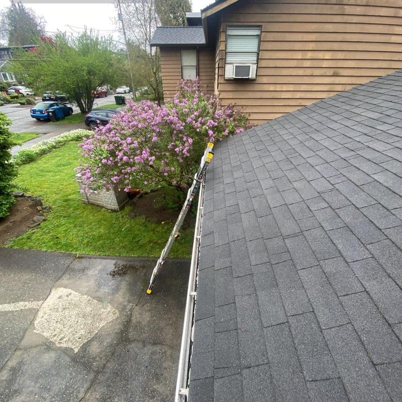Gutter and roof cleaning with ladder setup Gutter and roof cleaning with ladder setup