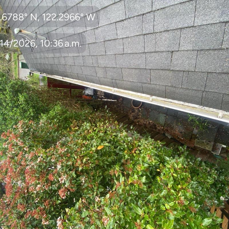 Roof shingles and gutter cleaning with debris removed Roof shingles and gutter cleaning with debris removed