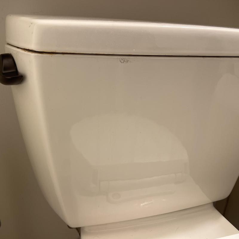 Oil brushed bronze toilet handle on white toilet tank