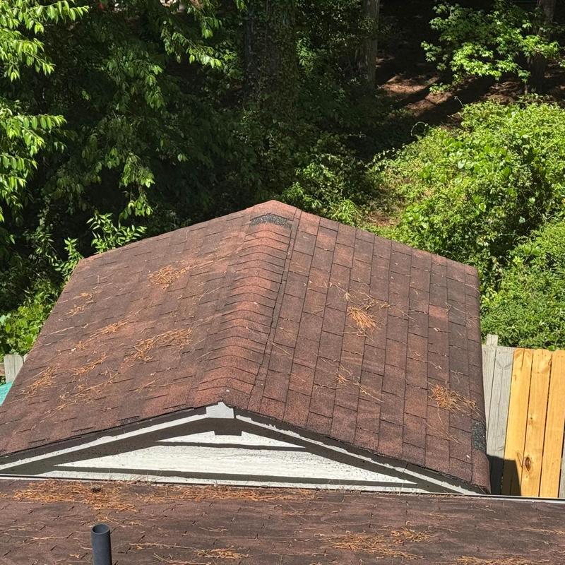 Asphalt shingle roof with pine needle debris and wear