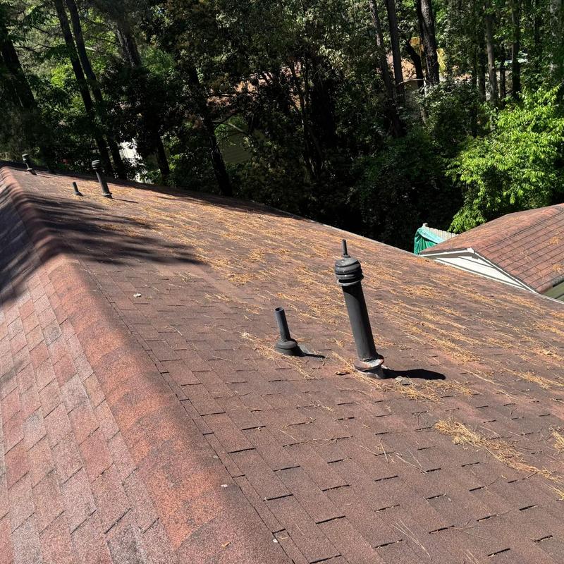 Asphalt shingle roof with vent pipes and debris