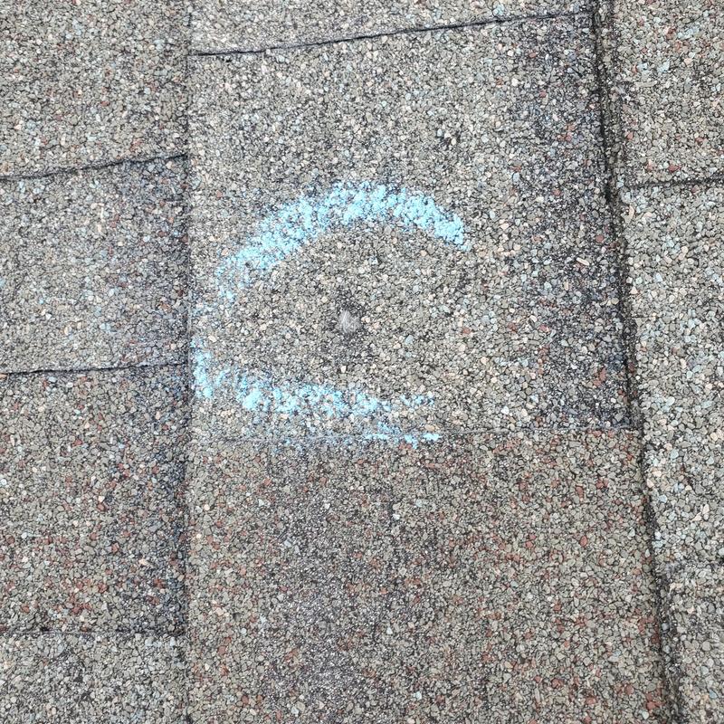Roof asphalt shingles with hail damage marked in blue chalk