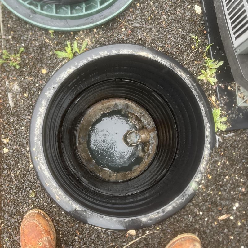 Septic tank interior showing water after pump out