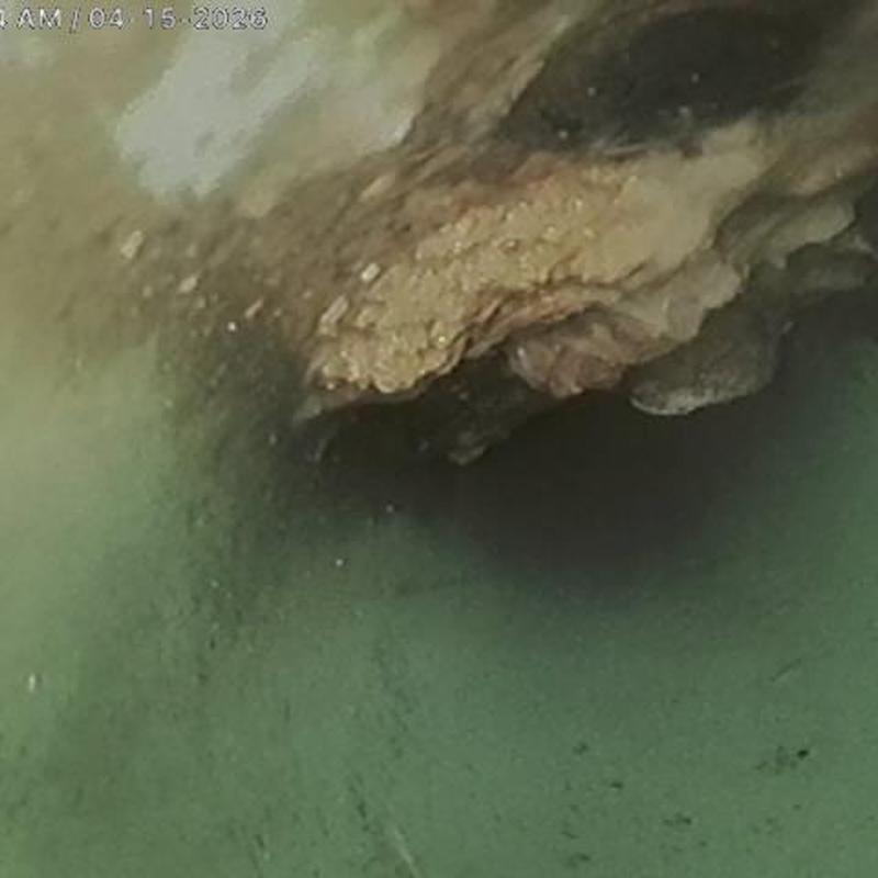 Commercial mainline pipe with debris buildup interior