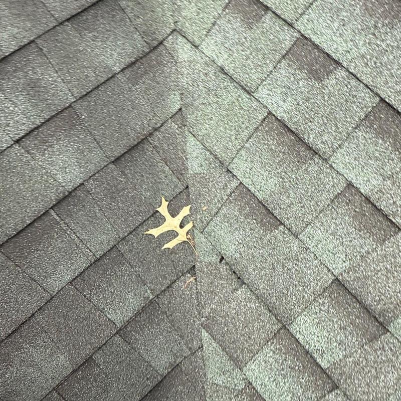 Asphalt shingles with granule loss from hail damage