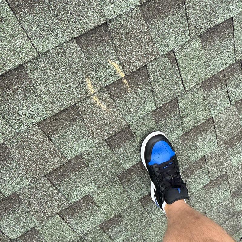 Asphalt shingles with hail impact marks and granule loss