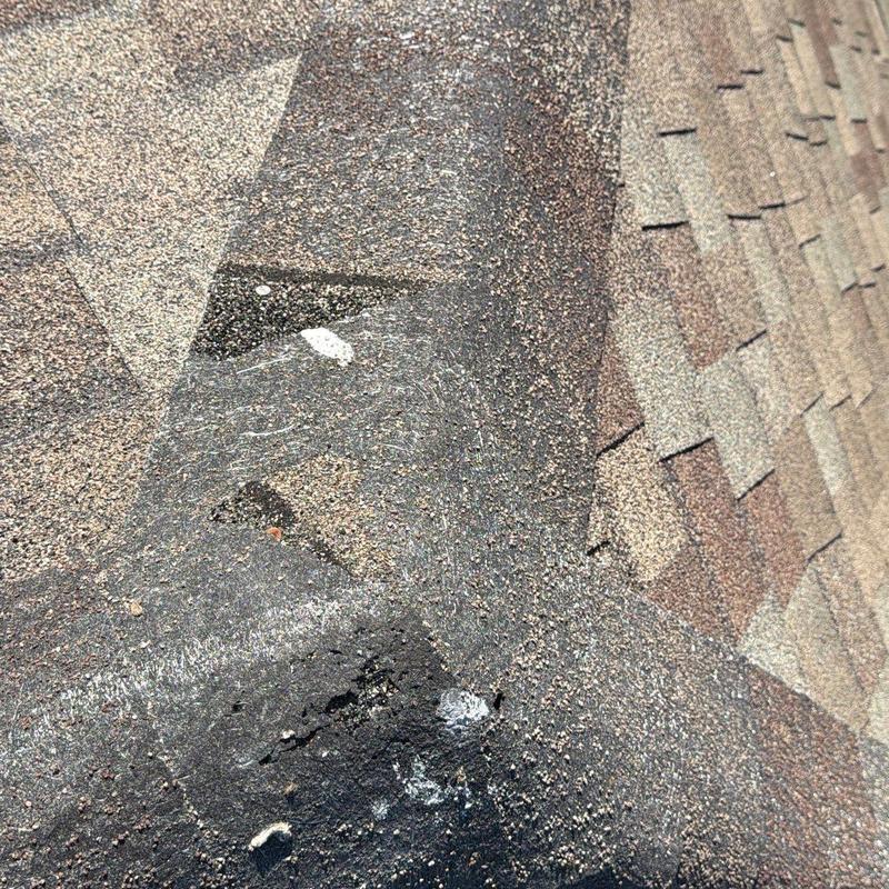 Roof shingles with hail damage and granule loss