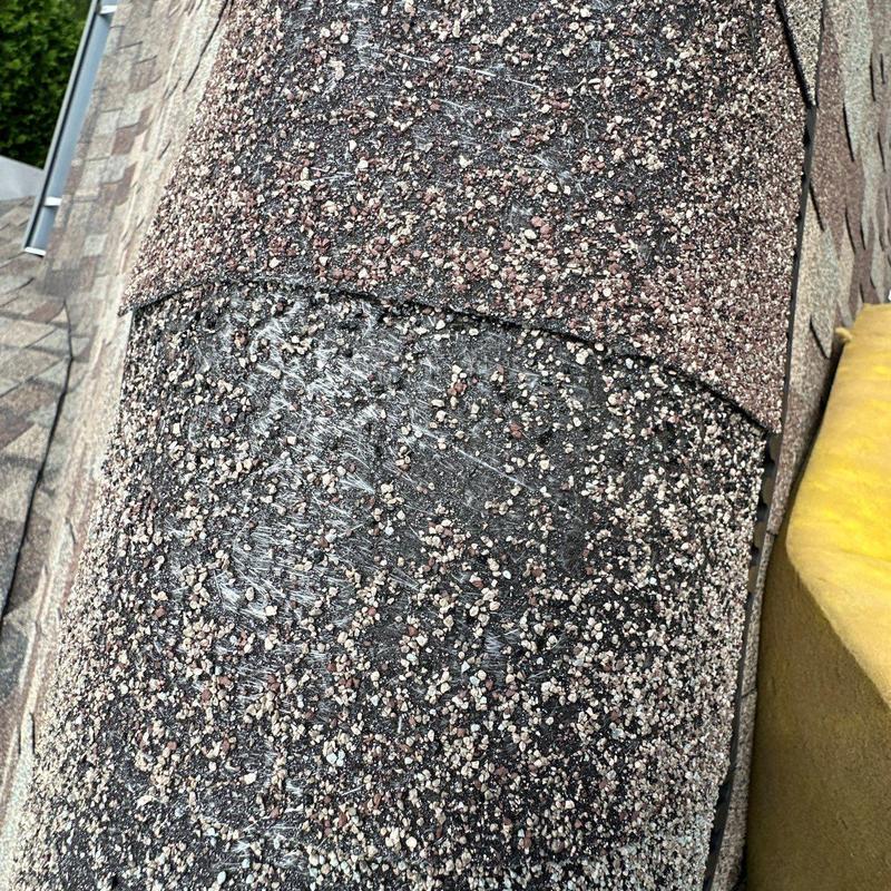 Roof shingles with hail damage and granule loss
