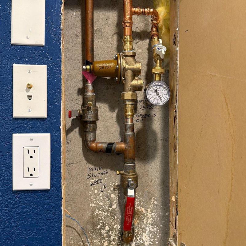 Pressure relief valve with gauge and shutoff valve