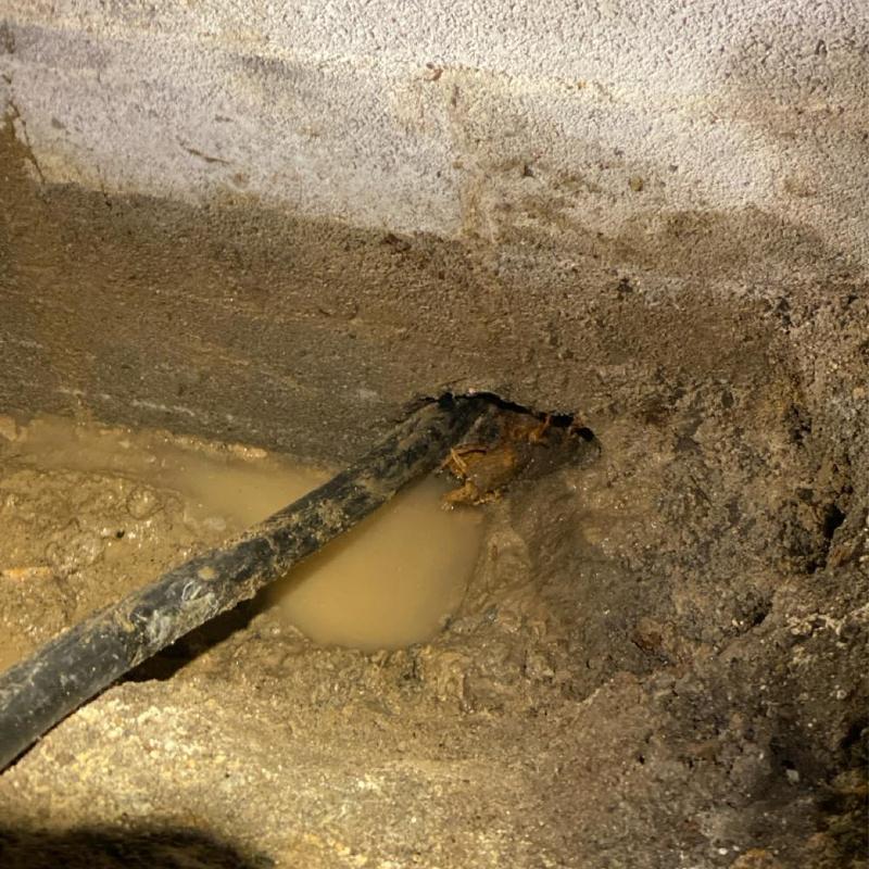 Main water line leak and surrounding muddy soil