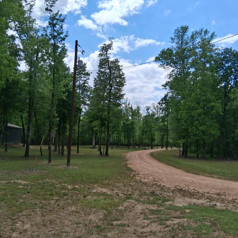 Lawn with trees and dirt driveway weed control and spraying