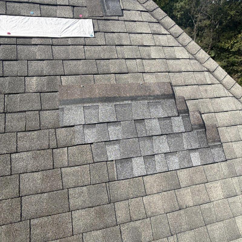 Asphalt roof shingles with patch repairs and markings