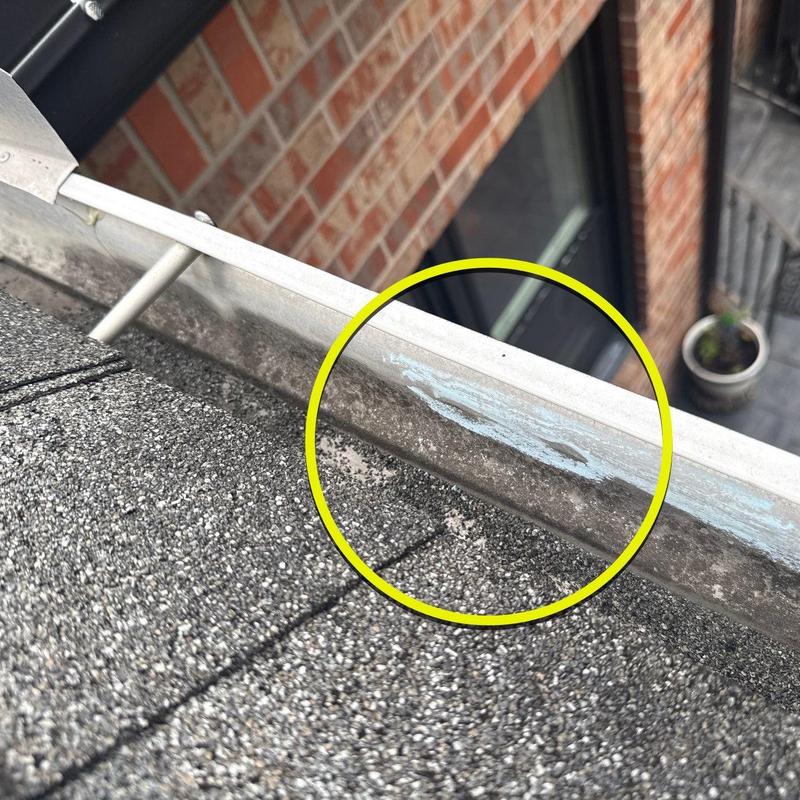 Roof edge metal with paint damage near shingles