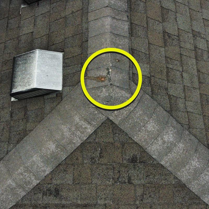 Roof shingles with hail damage and granule loss