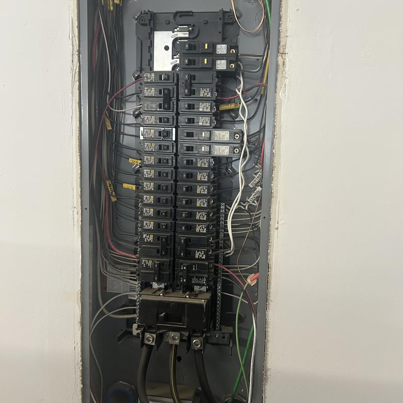 Electrical panel with surge protection installation options