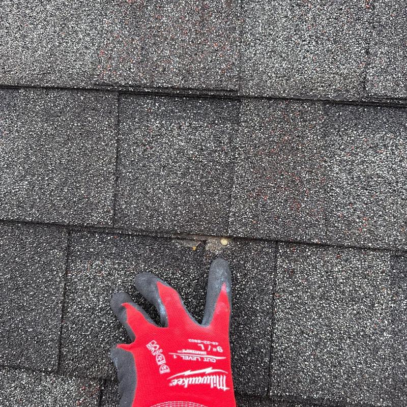 Asphalt roof shingles with hail damage inspection