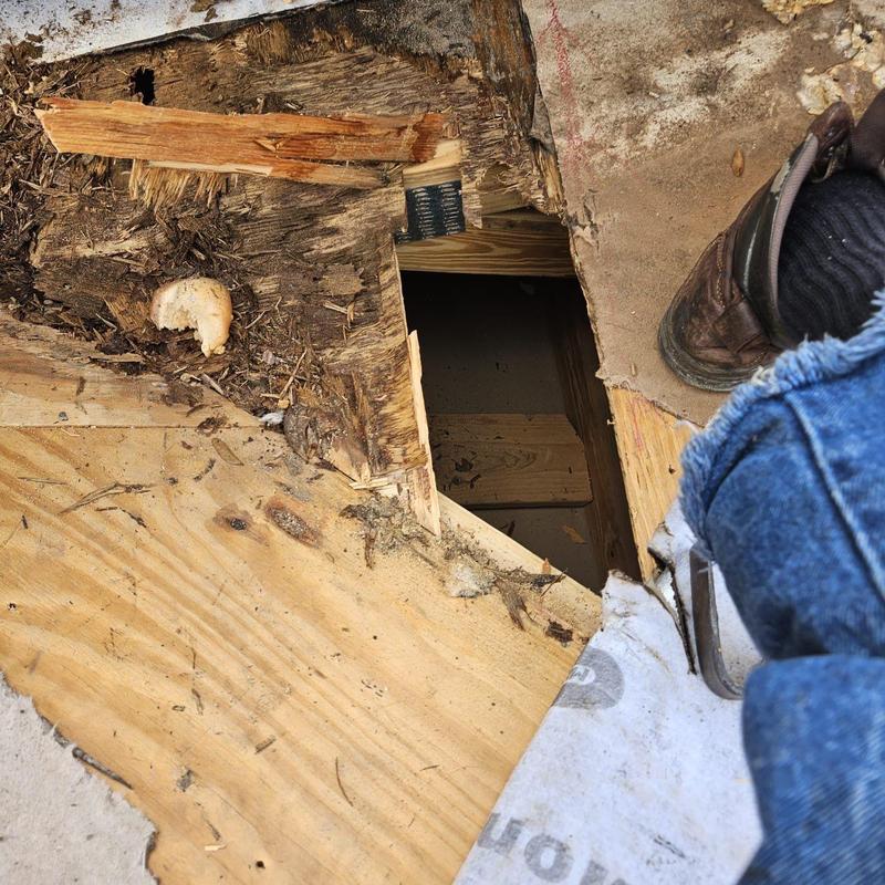 Roof decking with water damage exposed during repair