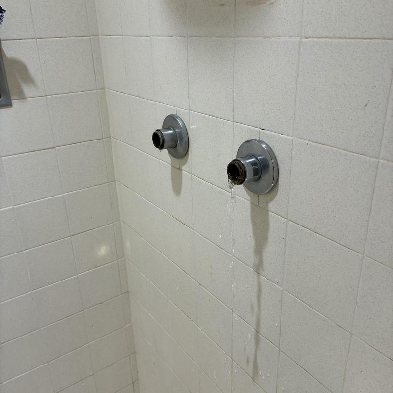 Two-handle shower faucet stems with water flow
