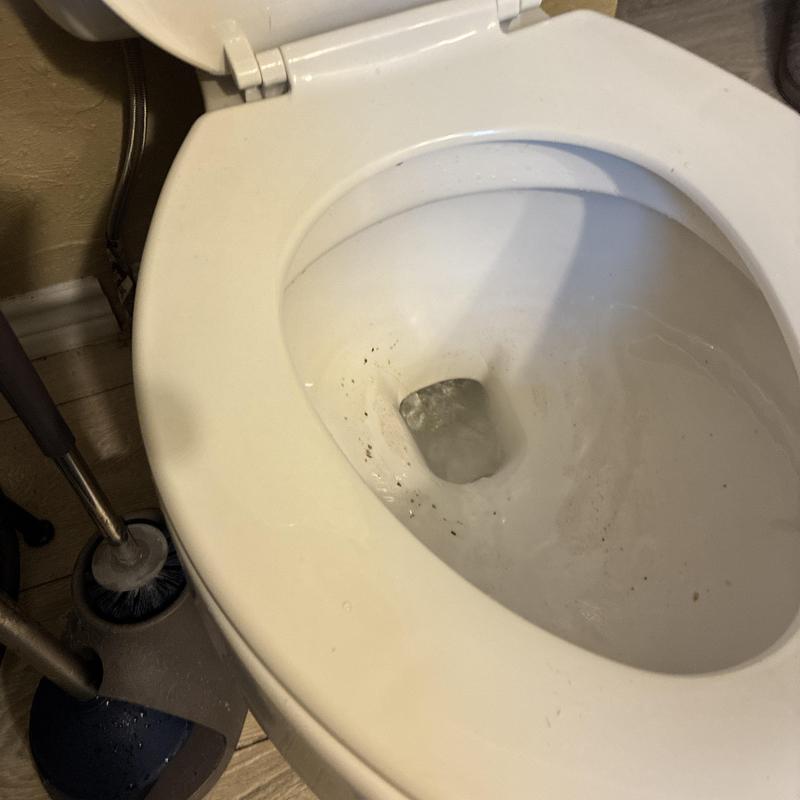 Toilet bowl drainage clearing with auger tool nearby