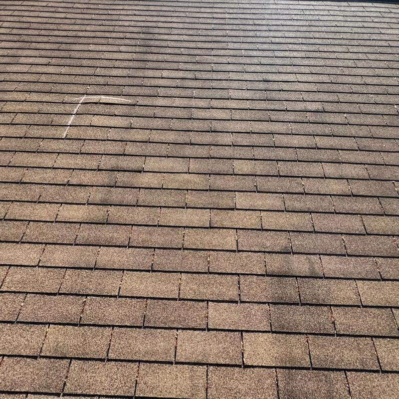 Asphalt shingle roof with hail damage inspection marking