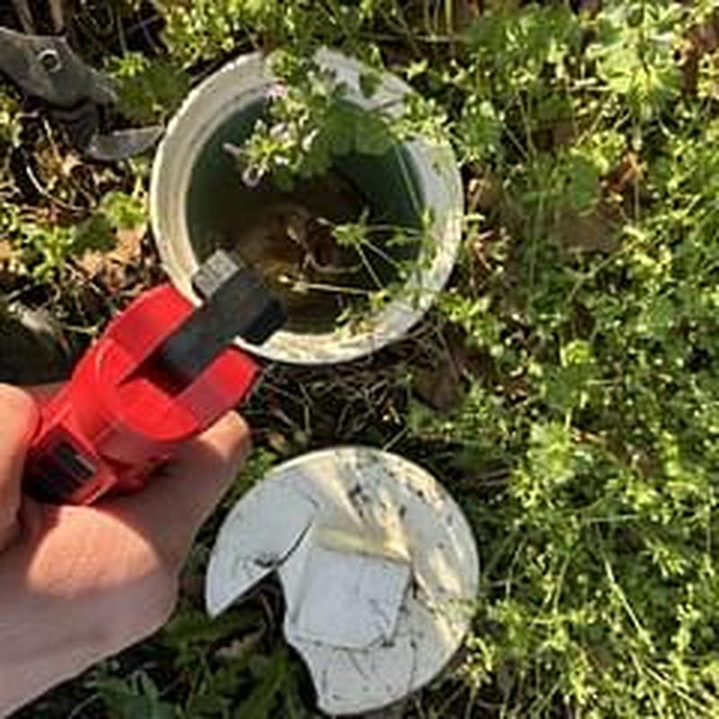 Traditional cleanout pipe with inspection camera tool