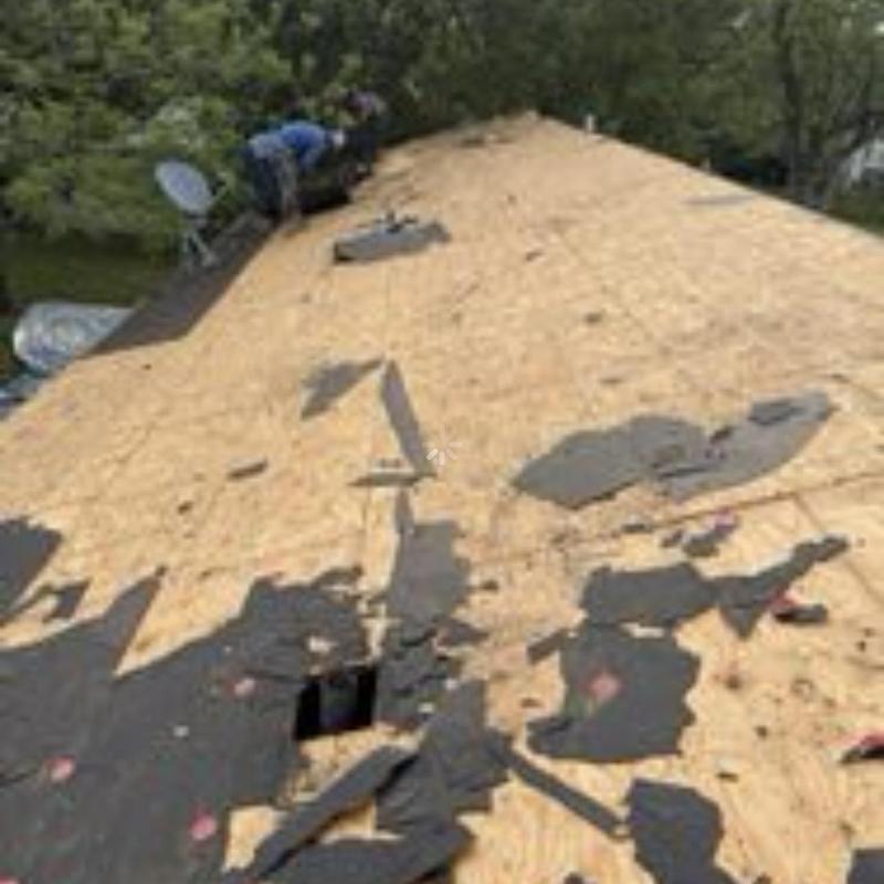 Roof decking with torn asphalt shingles removal in progress Roof decking with torn asphalt shingles removal in progress