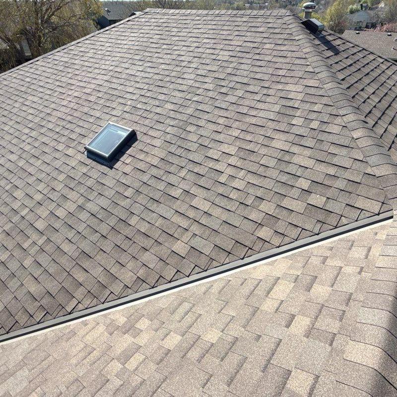 Malarkey Vista architectural shingles with skylight