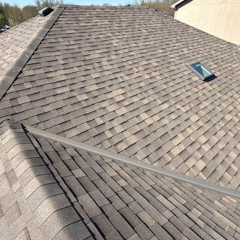 Malarkey Vista impact resistant shingles with skylight