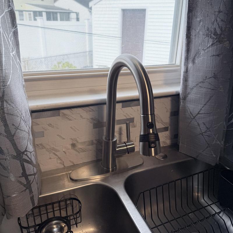 Kitchen sink faucet with pull-down sprayer installed