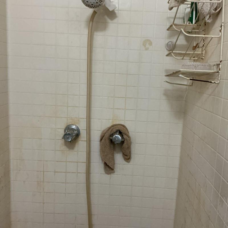 Shower valve stems and handles with hose attached