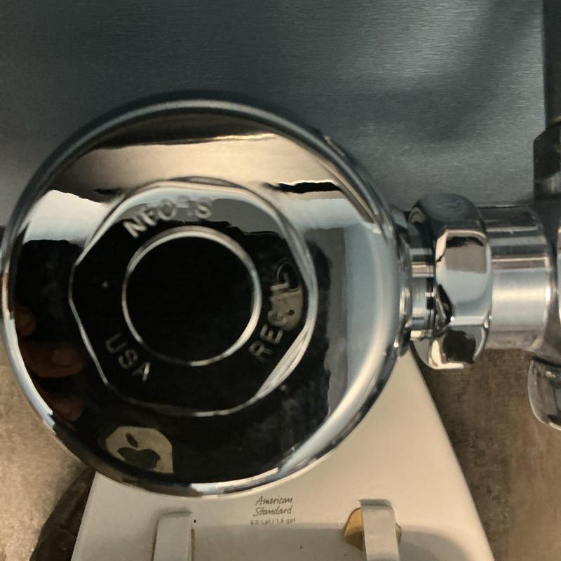 Flushometer valve assembly chrome close-up view