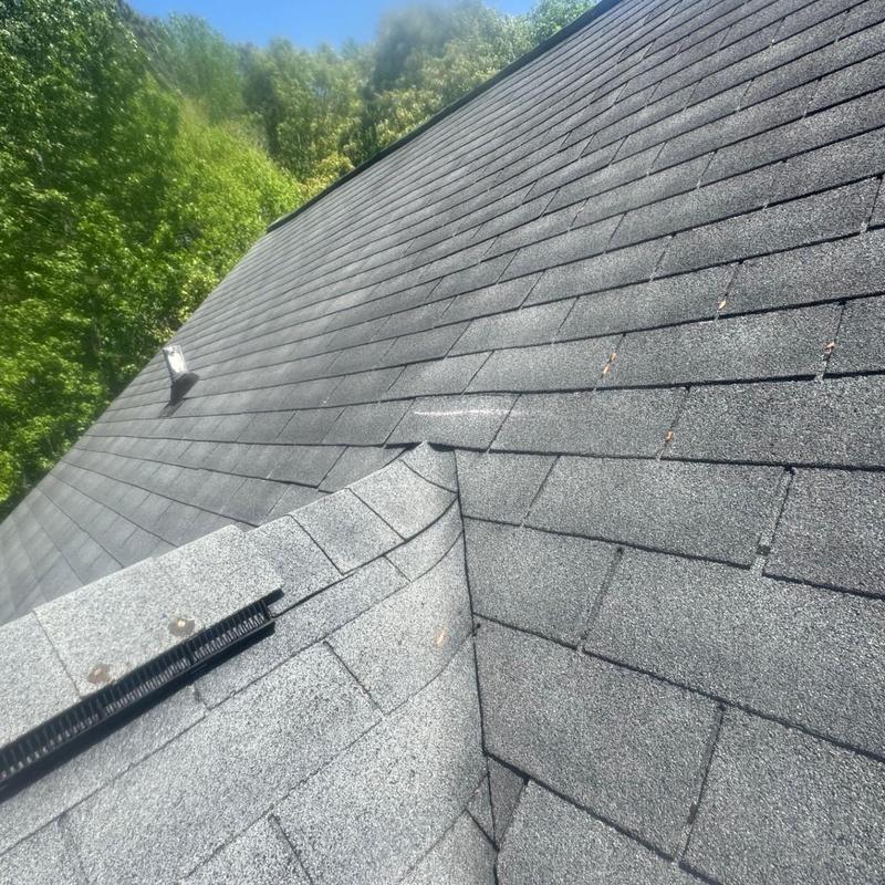 Asphalt shingle roof inspection showing damage areas
