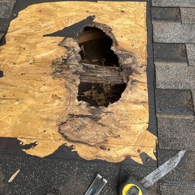 Roof plywood with water damage and hole near shingles