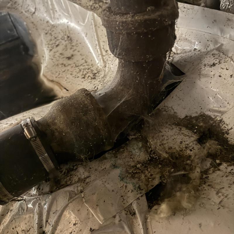 Drain line pipe with clamp and dirt buildup