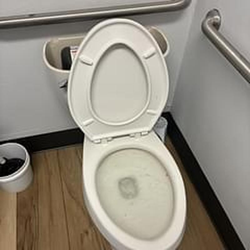 Toilet bowl and seat with safety grab bars installed