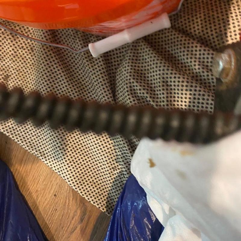 Kitchen sink drain snake and cleaning tool close-up