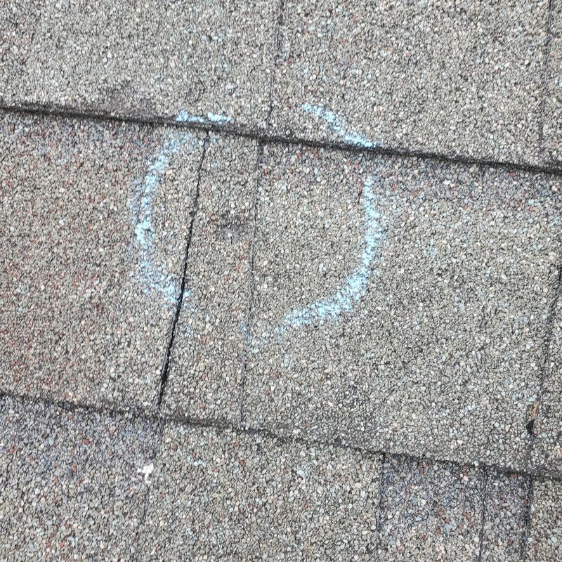 Roof shingles with hail damage marked in blue chalk