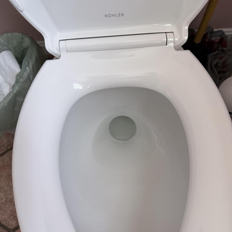 Toilet bowl with clear water after blockage removal