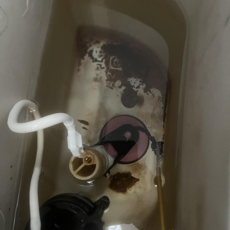 Toilet tank fill valve and flapper inside bowl